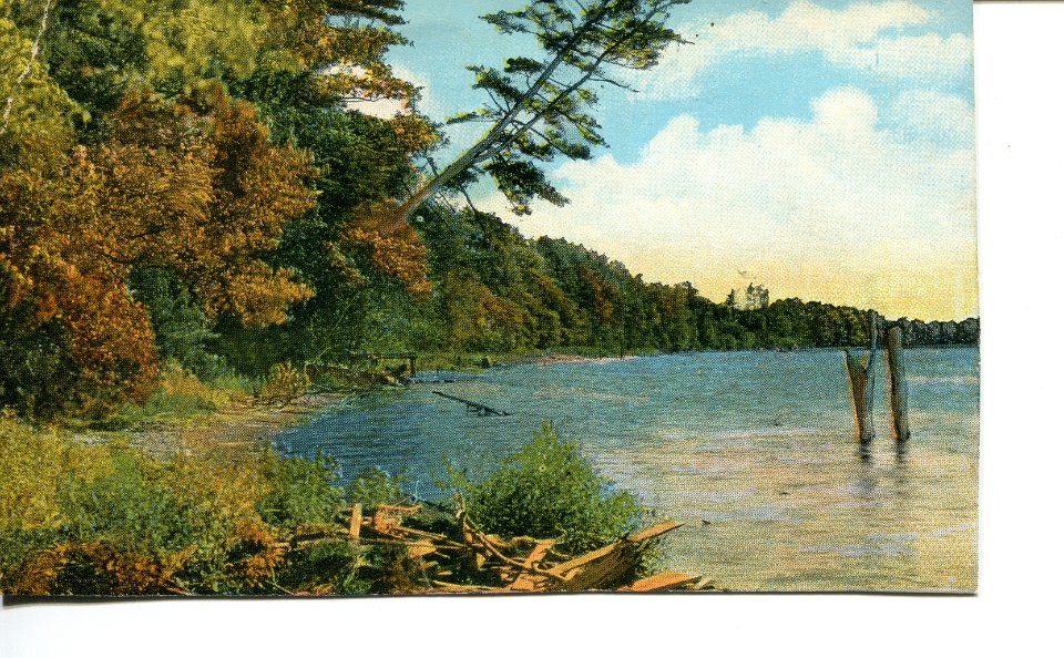 Saugatuck Postcard -6